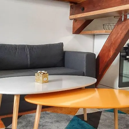 Apartment Coeur De Avec Parking+gare A Proximite De Et Paris